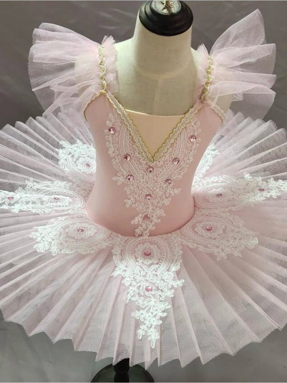 Pink Tulle Ballet Tutu Dress with Lace Appliqué - Kids Costume